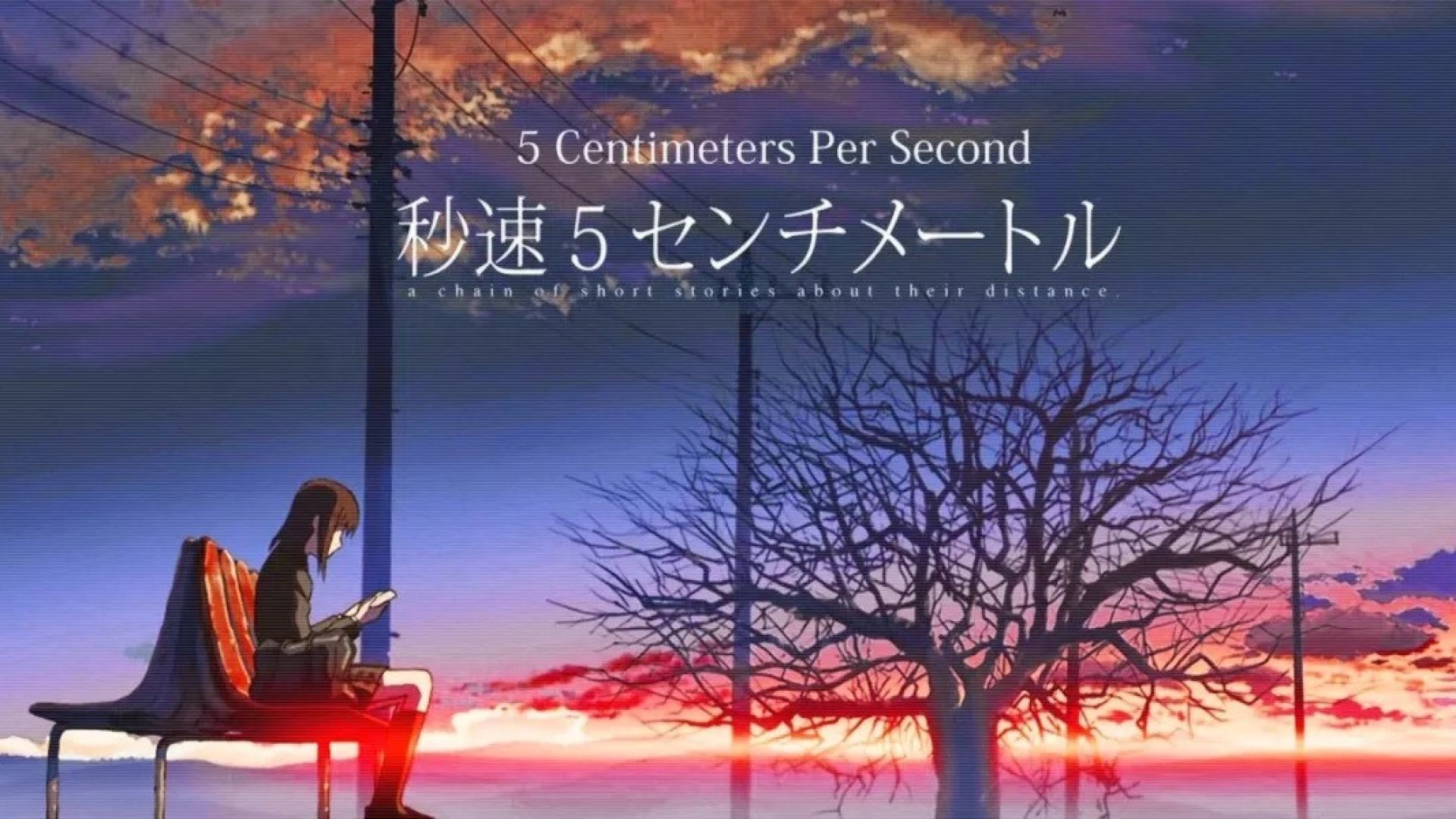 5 Centimeters per Second