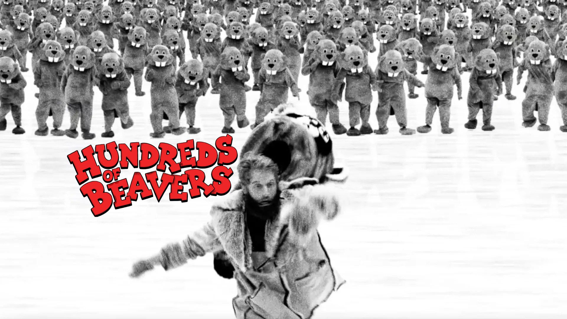 Hundreds of Beavers